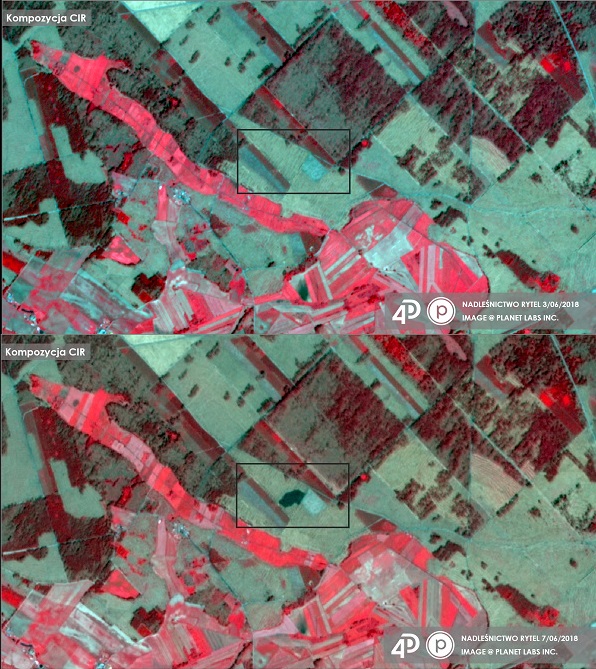 Zdjęcia satelitarne Planet Leśnictwa Mylof przed i po pożarze