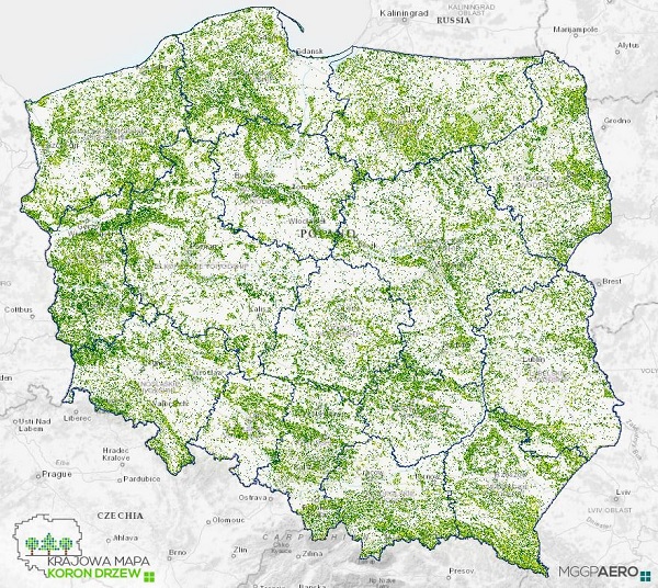 MGGP Aero prezentuje unikalną mapę wszystkich drzew w Polsce