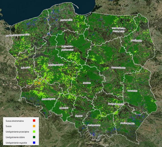 KOWR zamawia dostęp do zdjęć satelitarnych Polski