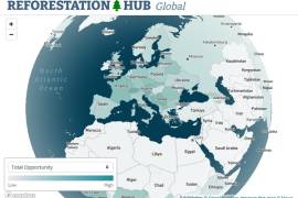 Globalna mapa reforestacji, czyli jakie obszary można ponownie zamienić w lasy